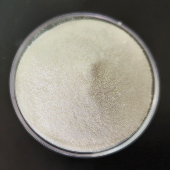 Citric Acid Esters of Mono-and Diglycerides (CITREM)